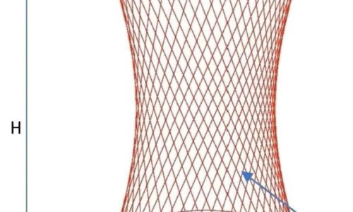 BLOCK VIII: Building Structures – Geometric models of singular structures, Parameterization of structure models.